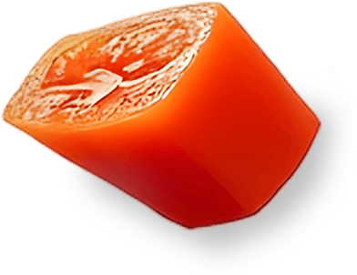 Vector